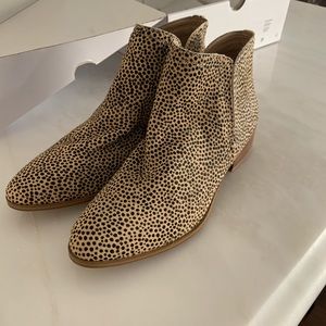 ALDO leopard print Kaicien booties